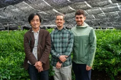 Bio Gen Chou Matcha von Nakanishi San
