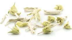 Bio Griechischer Bergtee