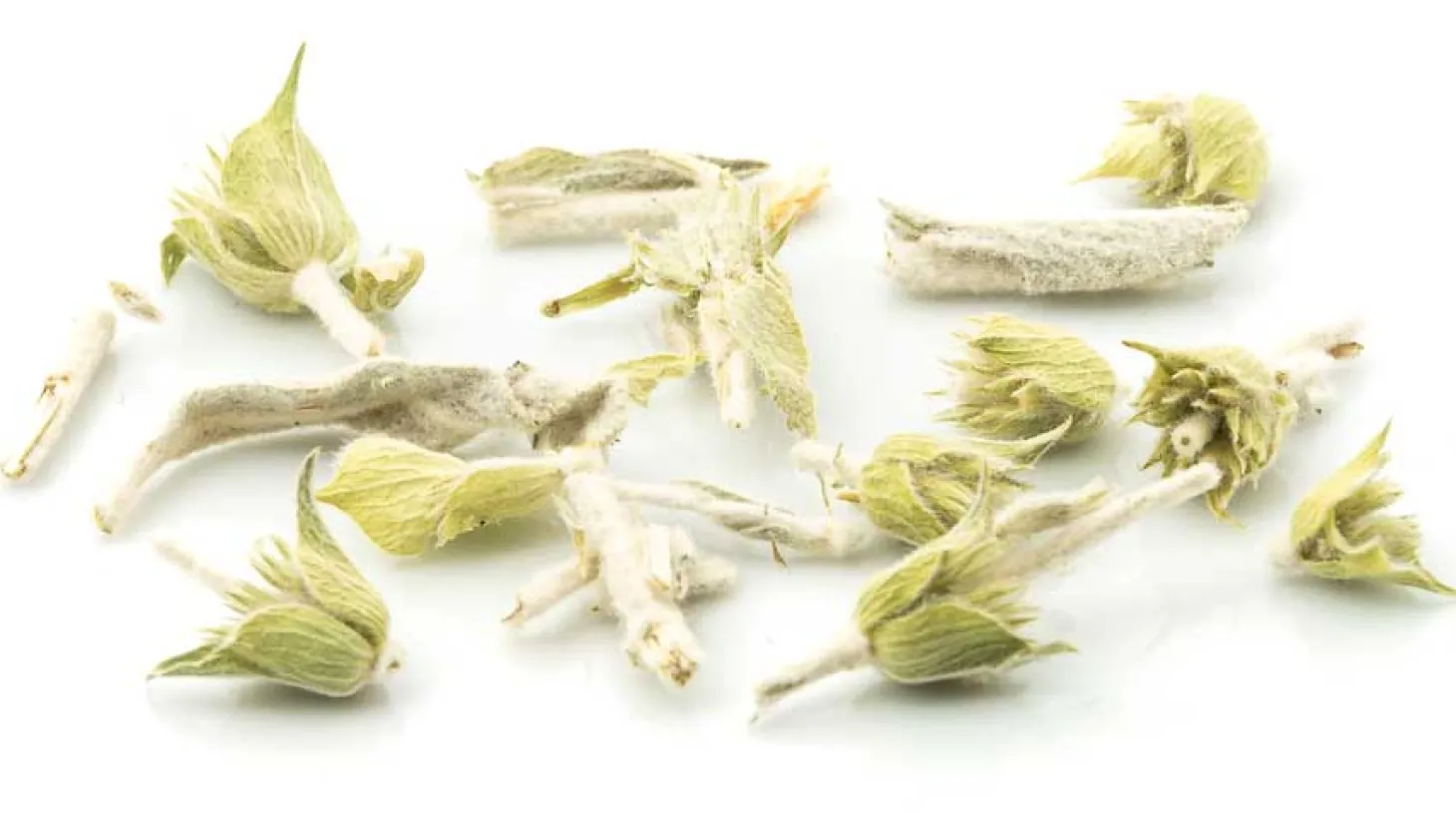 Bio Griechischer Bergtee