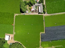 Bio Kirishima Asanomi Kabusecha