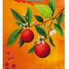Bio Milk Chocolate 46 % Cocoa Orange-Kardamom