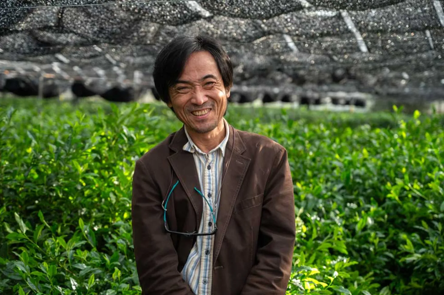 Bio Ryû Uji Matcha von Nakanishi San