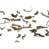 Bio Selim Hill Grüntee  FTGFOP1 Darjeeling