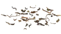Bio Selim Hill Grüntee  FTGFOP1 Darjeeling