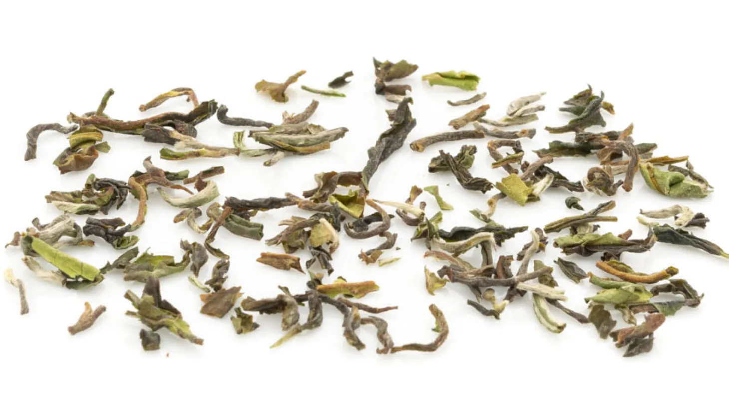 2024 Bio Singell DJ1 Flugtee FTGFOP1 Darjeeling