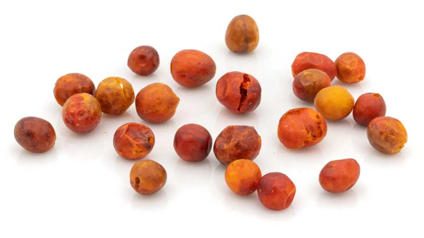 Chiltepin Ur-Chili