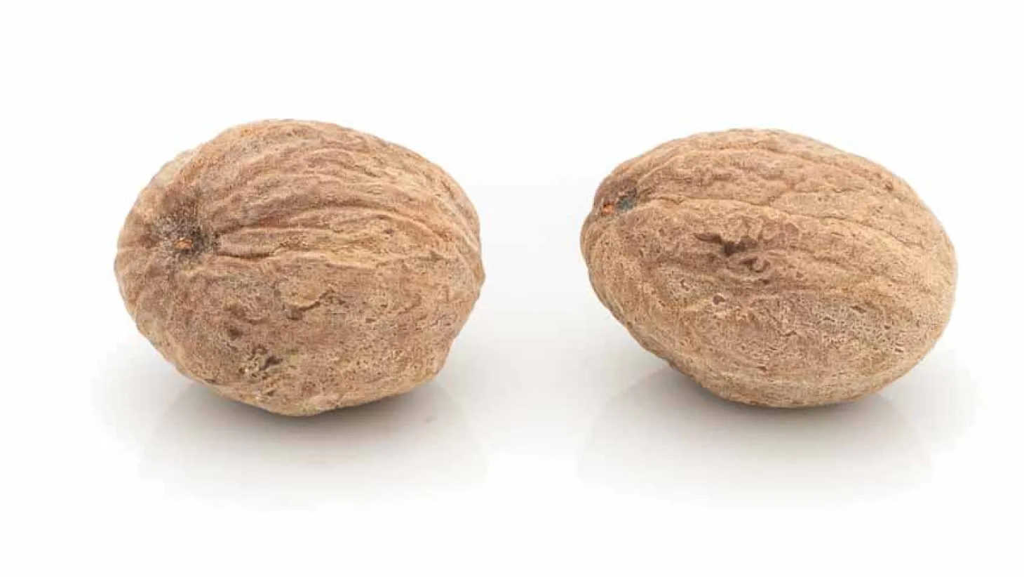 Muskatnuss