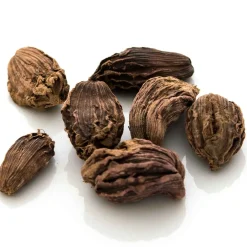 Schwarzer Kardamom