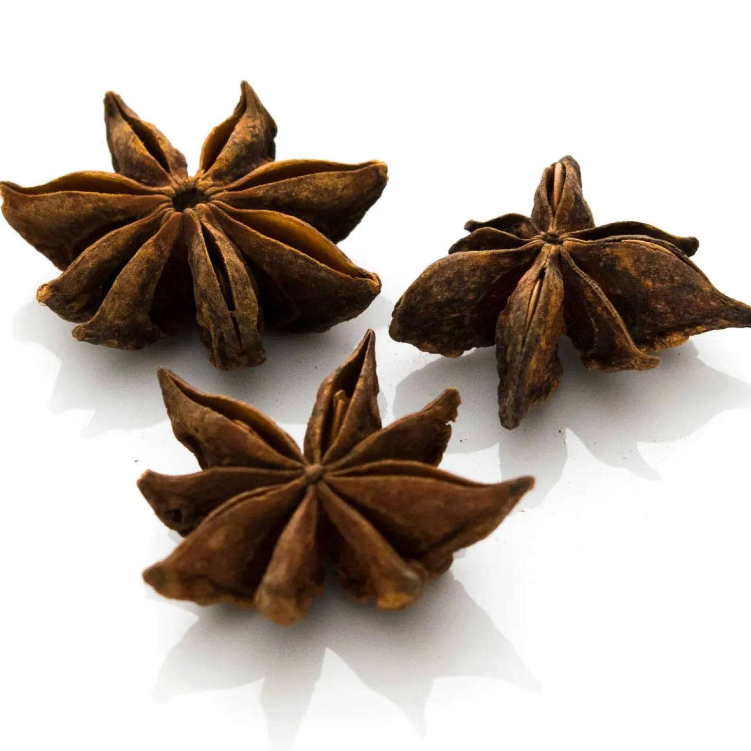 Sternanis