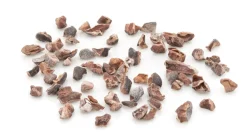 Valrhona Grué de Cacao - Kakaobohnensplitter / Kakaonibs