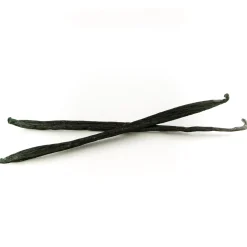 Vanillestangen aus Papua-Neuguinea